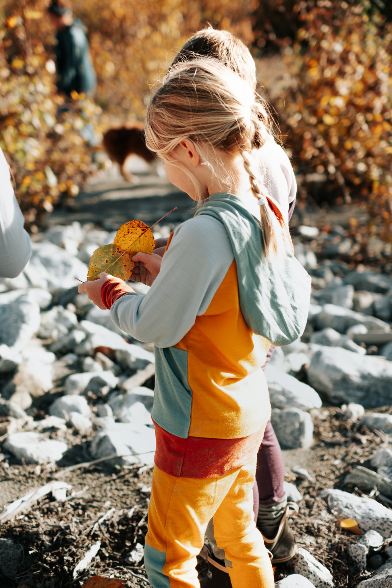 Hoodie + Legging Set - Wildhaven Wools