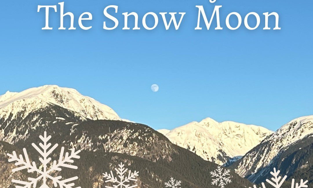 Snow-covered mountains reflected in a lake beneath a winter moon