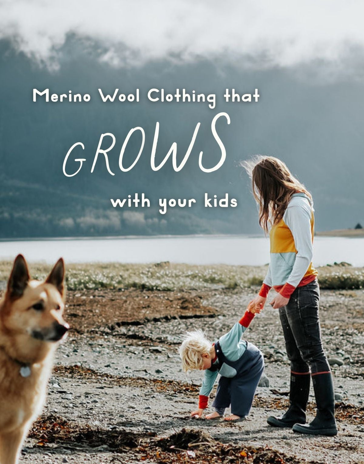 Woman and child walking along a beach with a dog, promotional text for merino wool clothing.